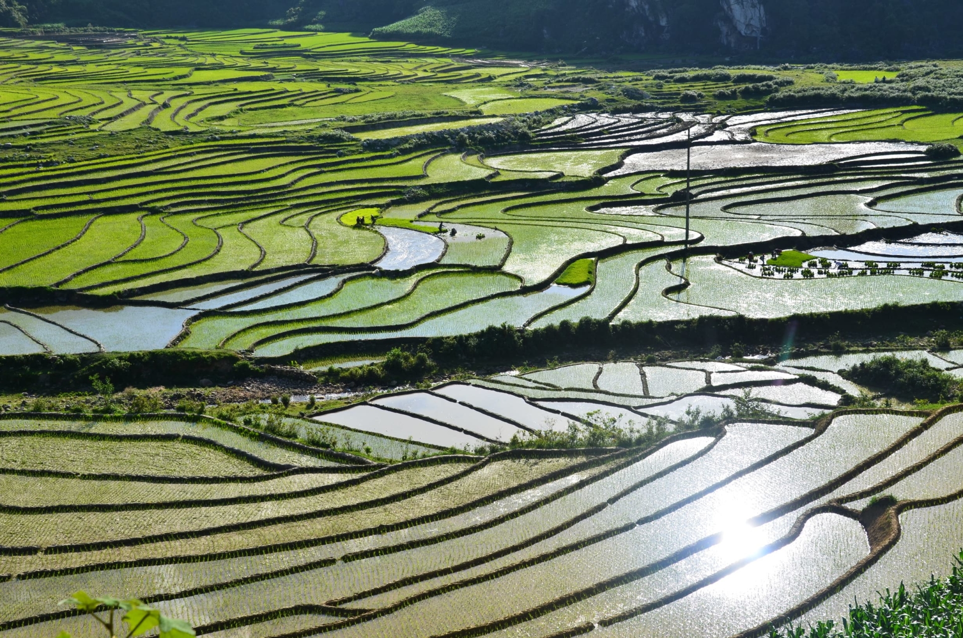 Le Vietnam Au Rythme Du Riz Routes Du Vietnam